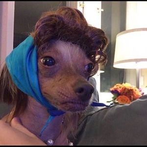 Meet your Posher, Ashly